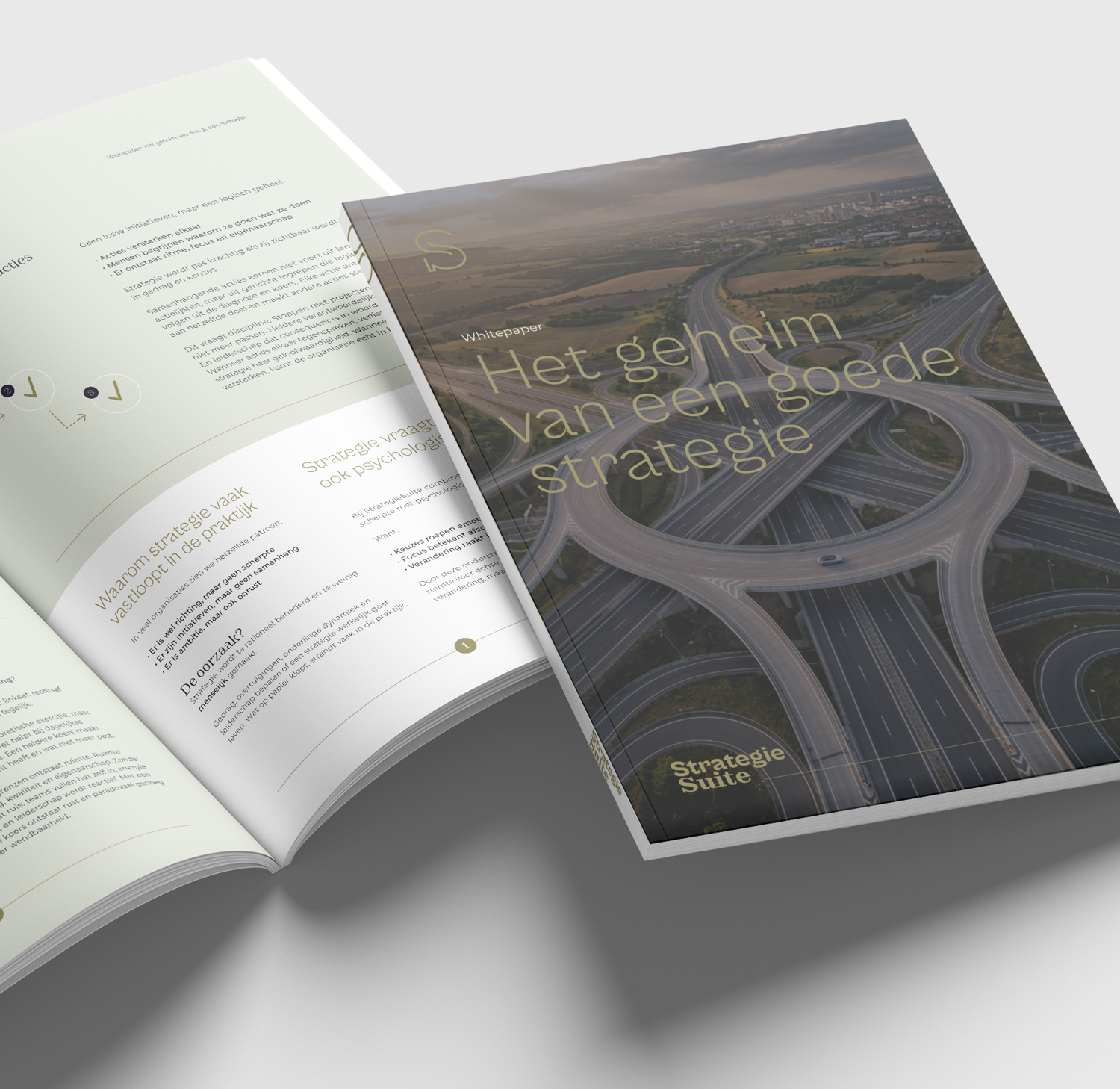 StrategieSuite — identiteitstoepassing