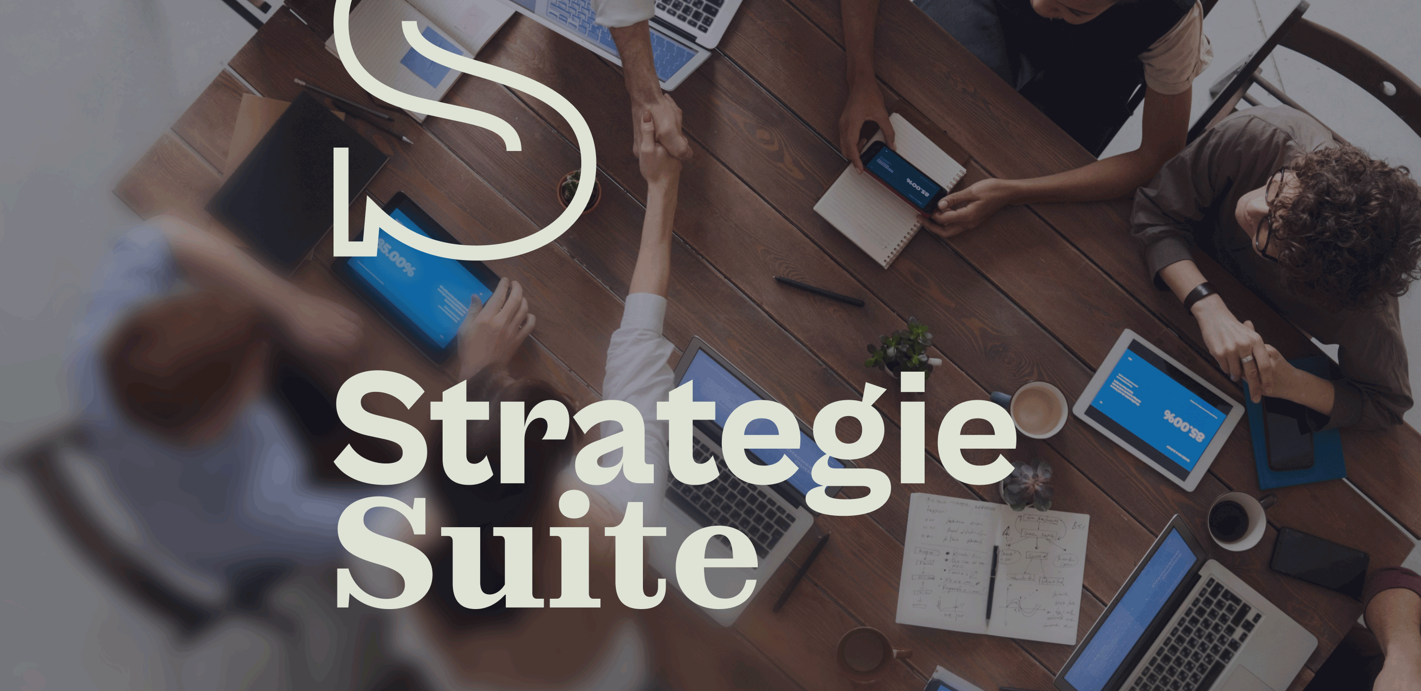 StrategieSuite — branding case